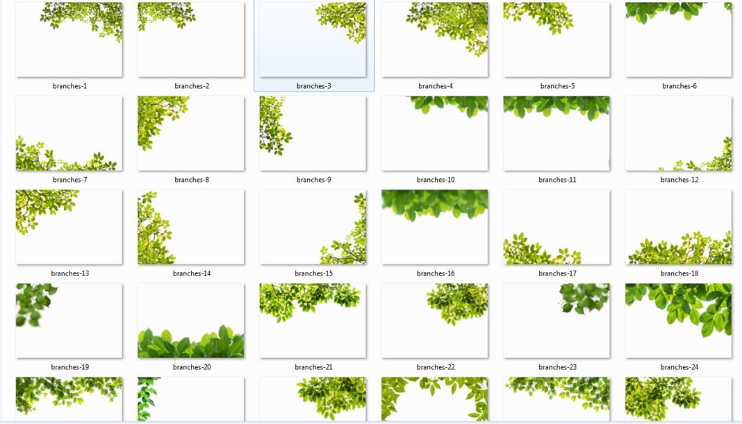 Green Branches grass photo overlays pack free download