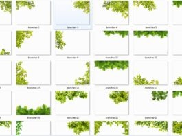 Green Branches grass photo overlays pack free download