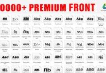 Professional 10k Free Fonts pack Download Professional 10k Free Fonts pack Download