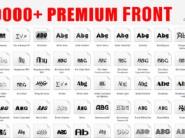 Professional 10k Free Fonts pack Download