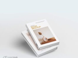 Best book cover mockup 2023