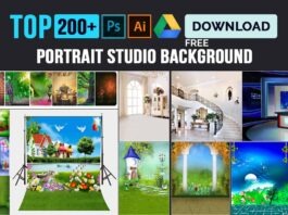 200+ portrait studio background Images Free Download