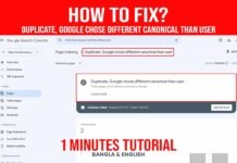 How To Fix Duplicate Google chose different canonical than user