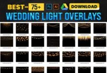75+ wedding light overlay PNG Images Bundle Free Download wedding light overlays PNG Images Bundle Free Download