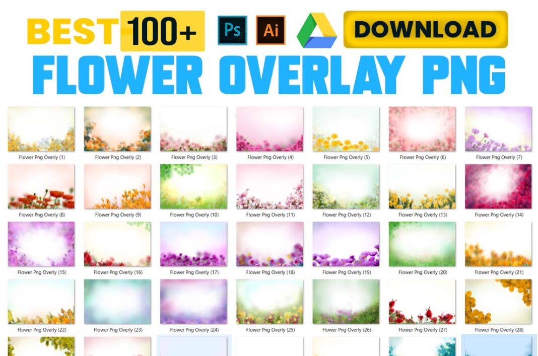 Flower Overlays PNG images Free Download
