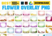 Flower Overlays PNG images Free Download Flower Overlays PNG images Free Download