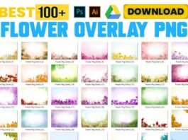 Flower Overlays PNG images Free Download