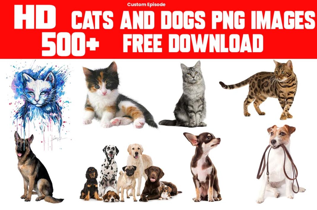 500+ Cats And Dogs PNG Transparent Images Free Download