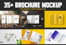 35+ Brochure Mockup PSD Bundle Free Download 35+ Brochure Mockup PSD Bundle Free Download