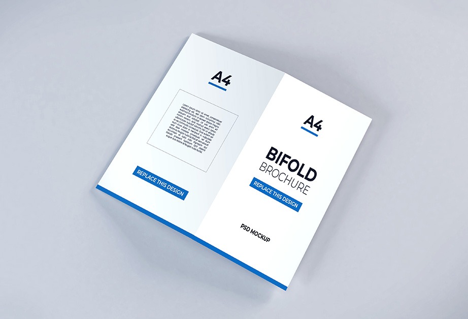 Bifold Brochure Mockup PSD Free Download