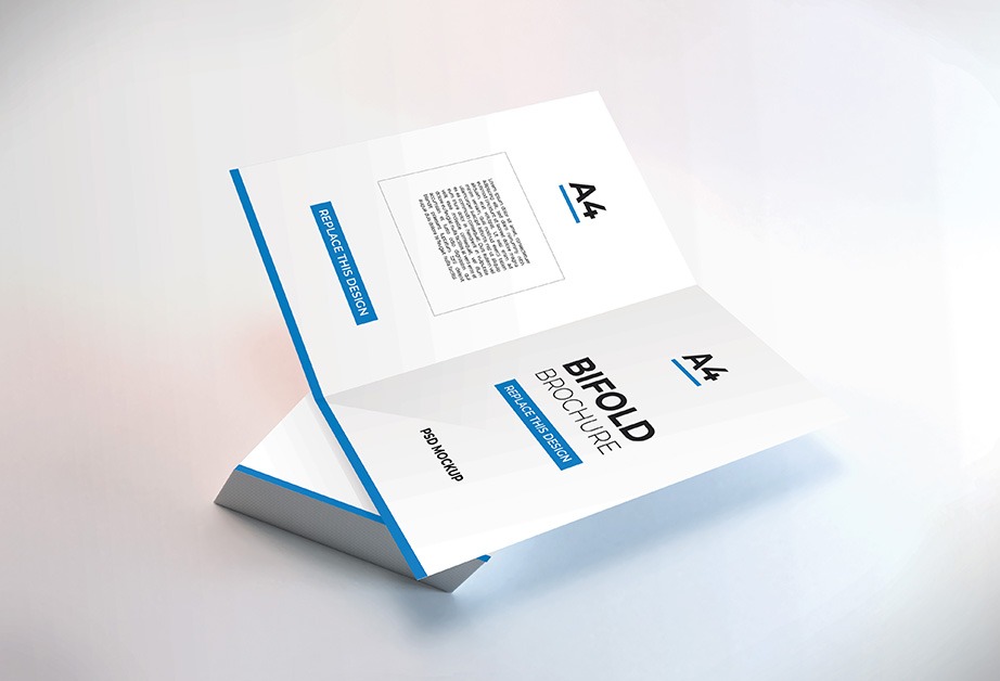 Bifold Brochure Mockup PSD Free Download