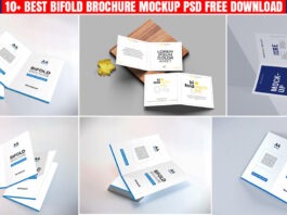Bifold Brochure Mockup PSD Free Download