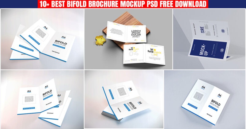 Top 10 Bifold Brochure Mockup PSD For Free Download - CUSTOM EPISODE